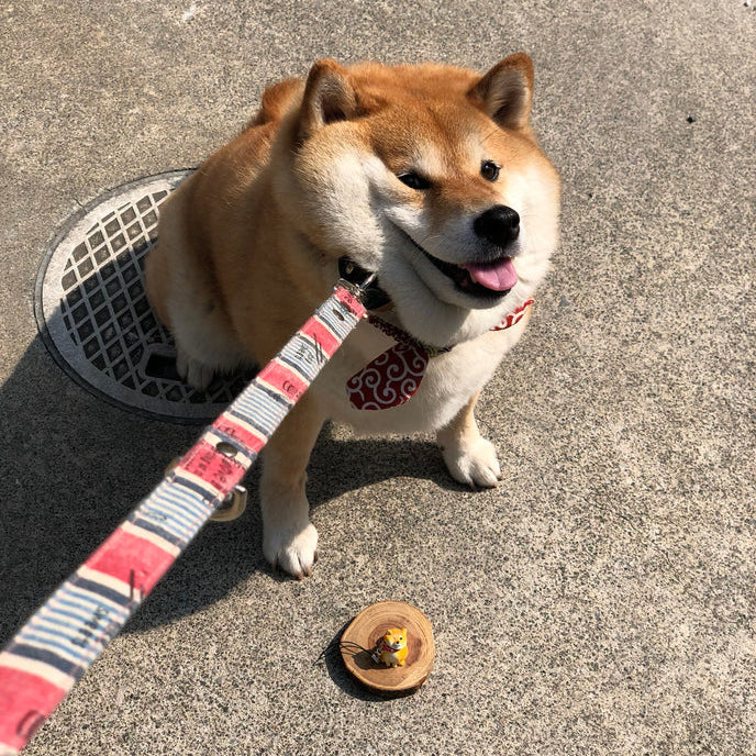 JujuNaught